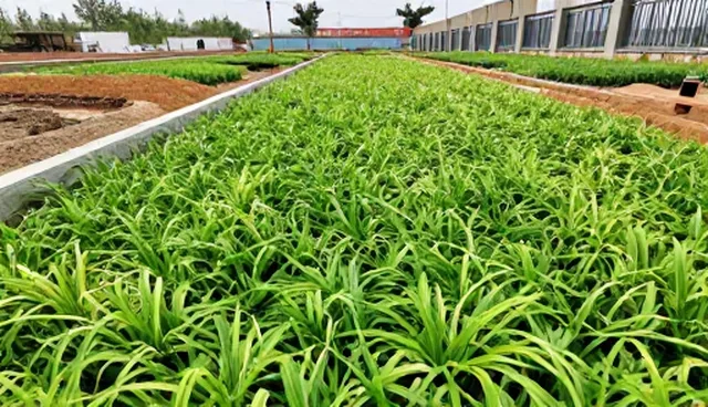 成果转化项目选型中的核心关注点解析
