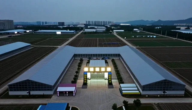 应用维护选型中的关键考量因素与实践路径